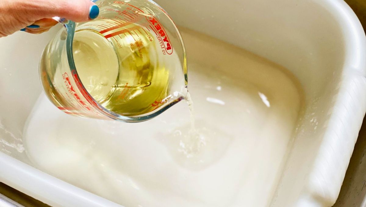 Lee bien los envases y etiquetas de cualquier tipo de vinagre antes de utilizarlo en la casa. Lee bien los envases y etiquetas de cualquier tipo de vinagre antes de utilizarlo en la casa. 