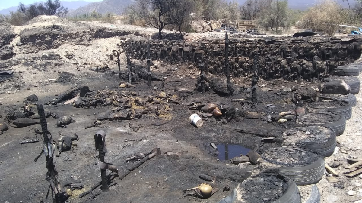 Los puesteros quieren volver a amar su corral y por esta razón apelan a la solidaridad de los mendocinos. Los puesteros quieren volver a amar su corral y por esta razón apelan a la solidaridad de los mendocinos.