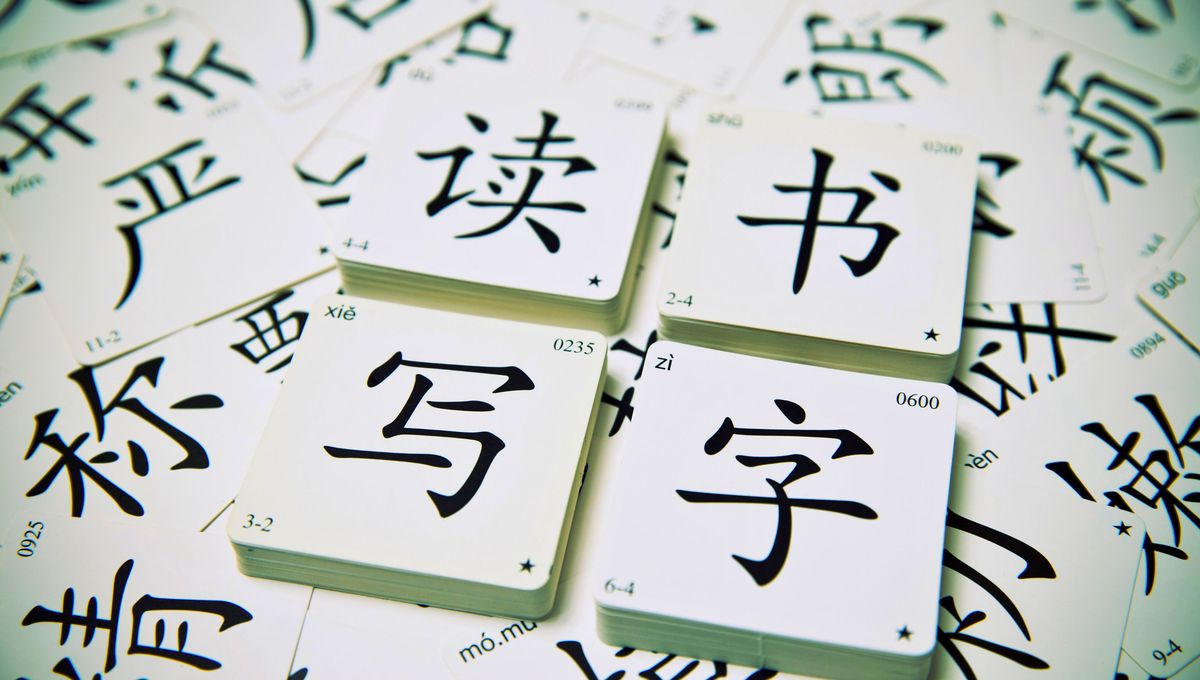 Puedes tomar cualquier palabra de cualquier idioma para utilizarla en tu jornada. Puedes tomar cualquier palabra de cualquier idioma para utilizarla en tu jornada. 