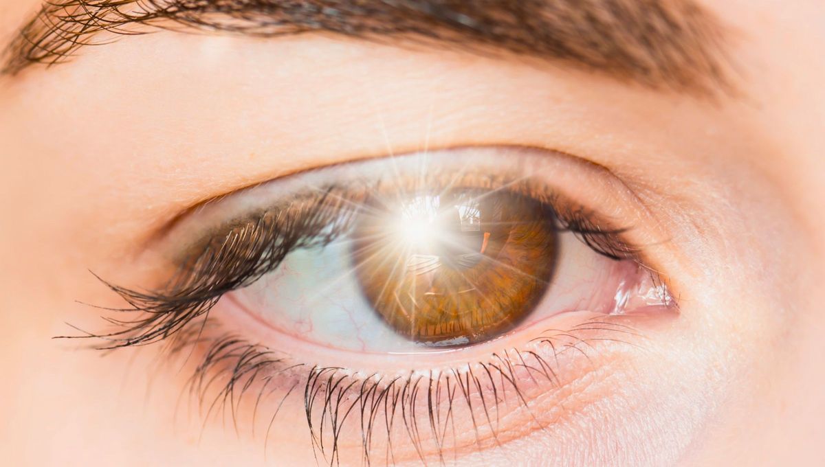 Los destellos de luz en el ojo son pequeñas luces que vemos aparecer, sobre todo en los extremos laterales del campo visual. Los destellos de luz en el ojo son pequeñas luces que vemos aparecer, sobre todo en los extremos laterales del campo visual.