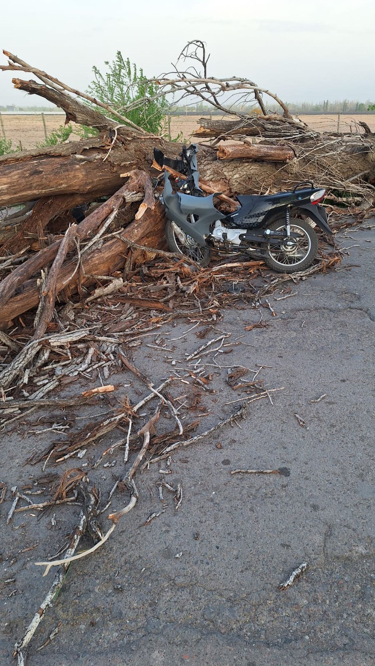 El repartidor de esta moto salvó su vida de milagro. El repartidor de esta moto salvó su vida de milagro.