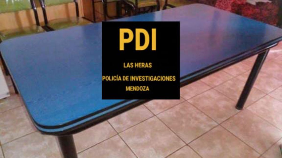 Parte de los elementos robados en Las Heras.