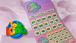 Conocé los resultados del último sorteo de Telekino.