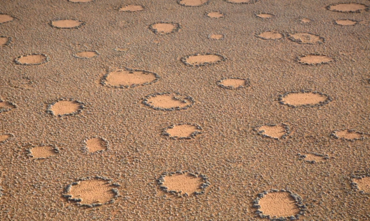 Se están construyendo bases de datos globales y atlas de estos fenómenos para monitorear su extensión. Se están construyendo bases de datos globales y atlas de estos fenómenos para monitorear su extensión.