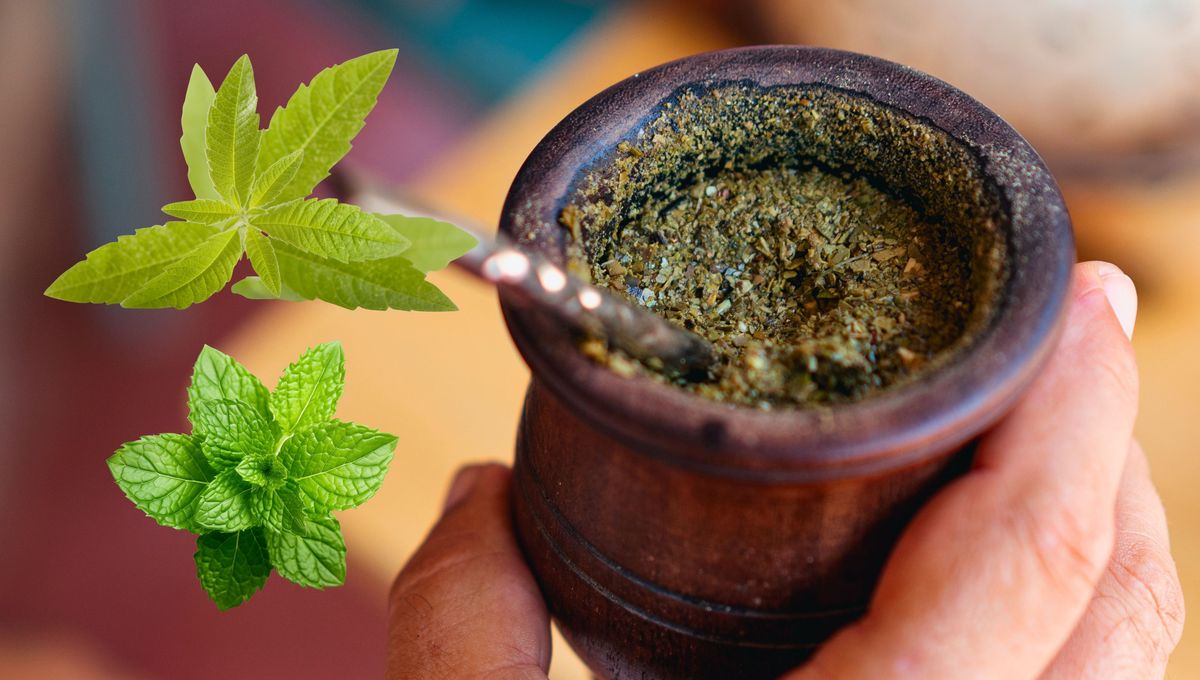 También se puede añadir al mate alguna cáscara de naranja deshidratada o endulzante natural. También se puede añadir al mate alguna cáscara de naranja deshidratada o endulzante natural. 