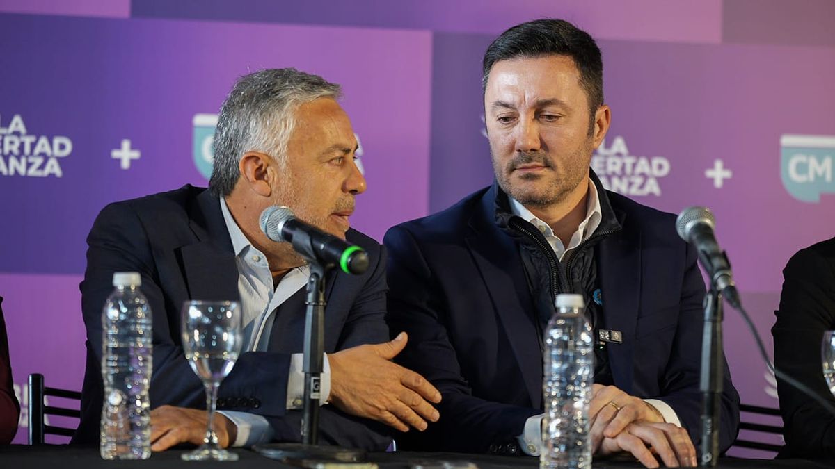 Luis Petri