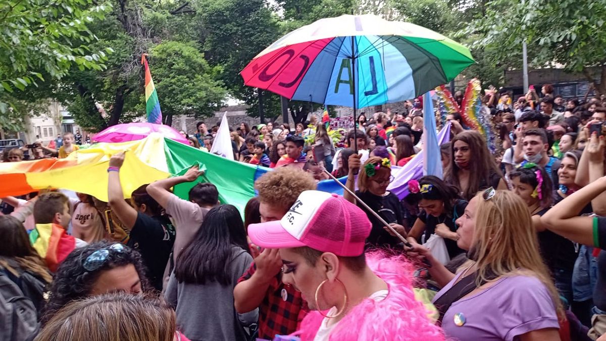 En Mendoza hay unas 1.000 personas trans que reciben tratamientos de hormonización que les provee el Estado mendocino. De ellos sólo 3 son menores de edad