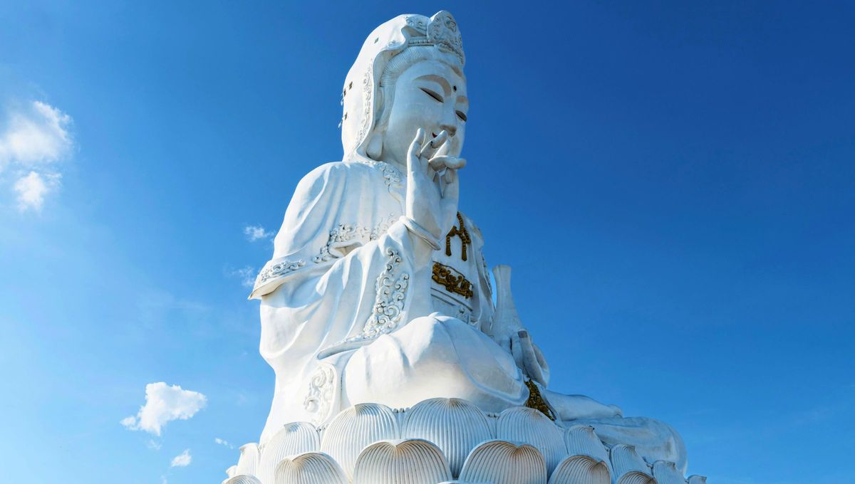 Las frases en chino nos ofrecen una perspectiva valiosa y motivadora para aplicar en nuestro propio viaje a trav&eacute;s de la vida.