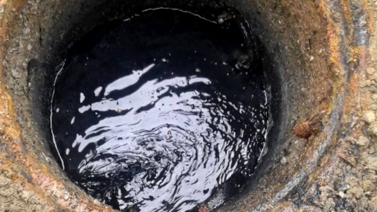 Tragedia. Una mujer quiso salvar a su perro y también murió.