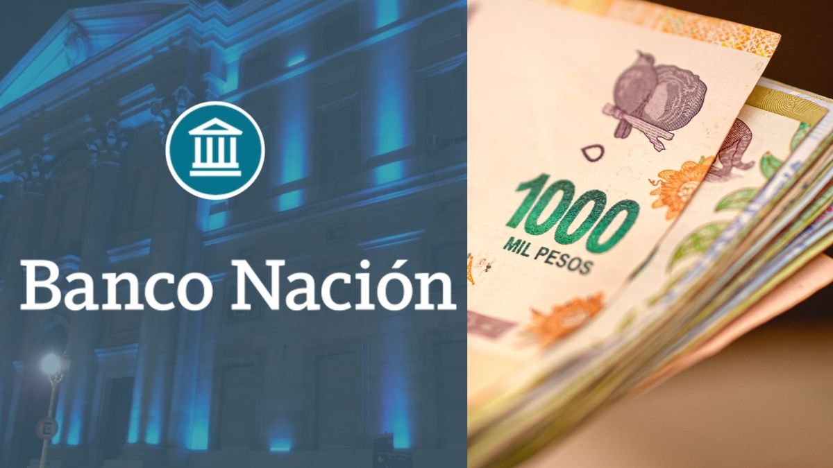 Créditos para Banco Nación: cuánto puedo pedir y en cuántas cuotas se paga