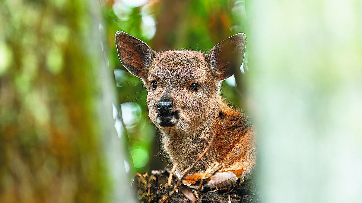 Un paraíso pintoresco y misterioso