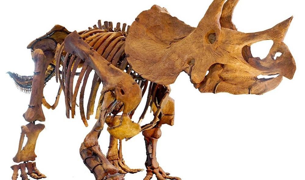 Los dinosaurios estaban sentenciados