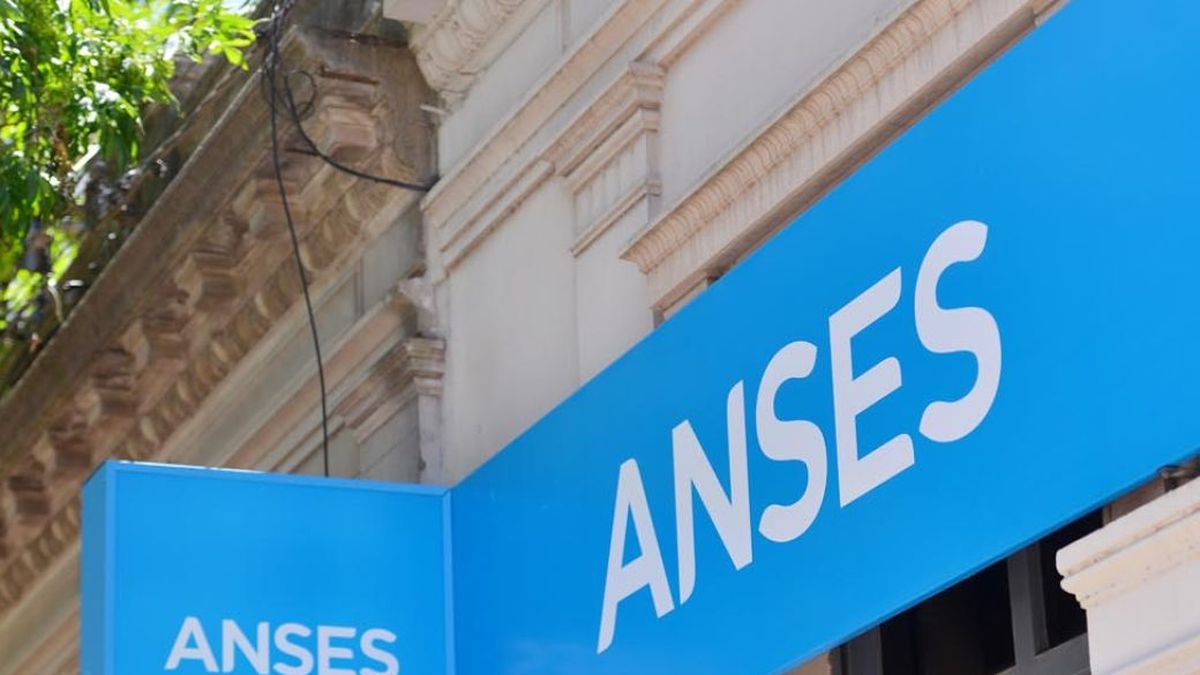 ANSES: Cuáles Son Los Montos De SUAF Para Noviembre 2023