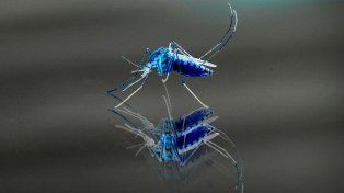 Crearon un radar para salvar al mundo de los mosquitos asesinos