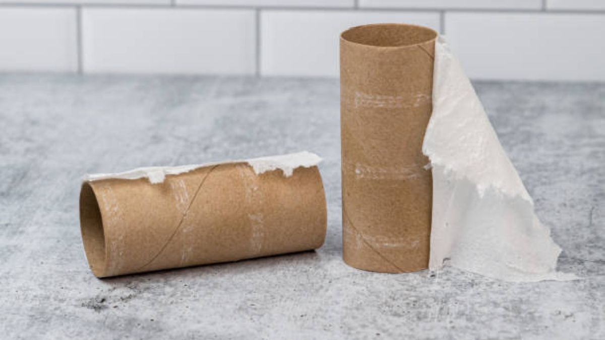 Aprendé a reciclar los tubos de papel higiénico. Aprendé a reciclar los tubos de papel higiénico.