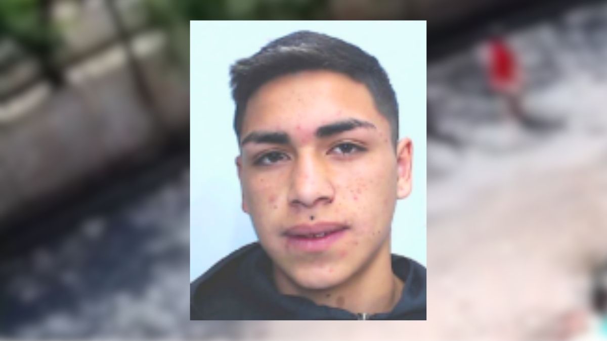 El ladrón que terminó admitiendo el violento robo. El ladrón que terminó admitiendo el violento robo.