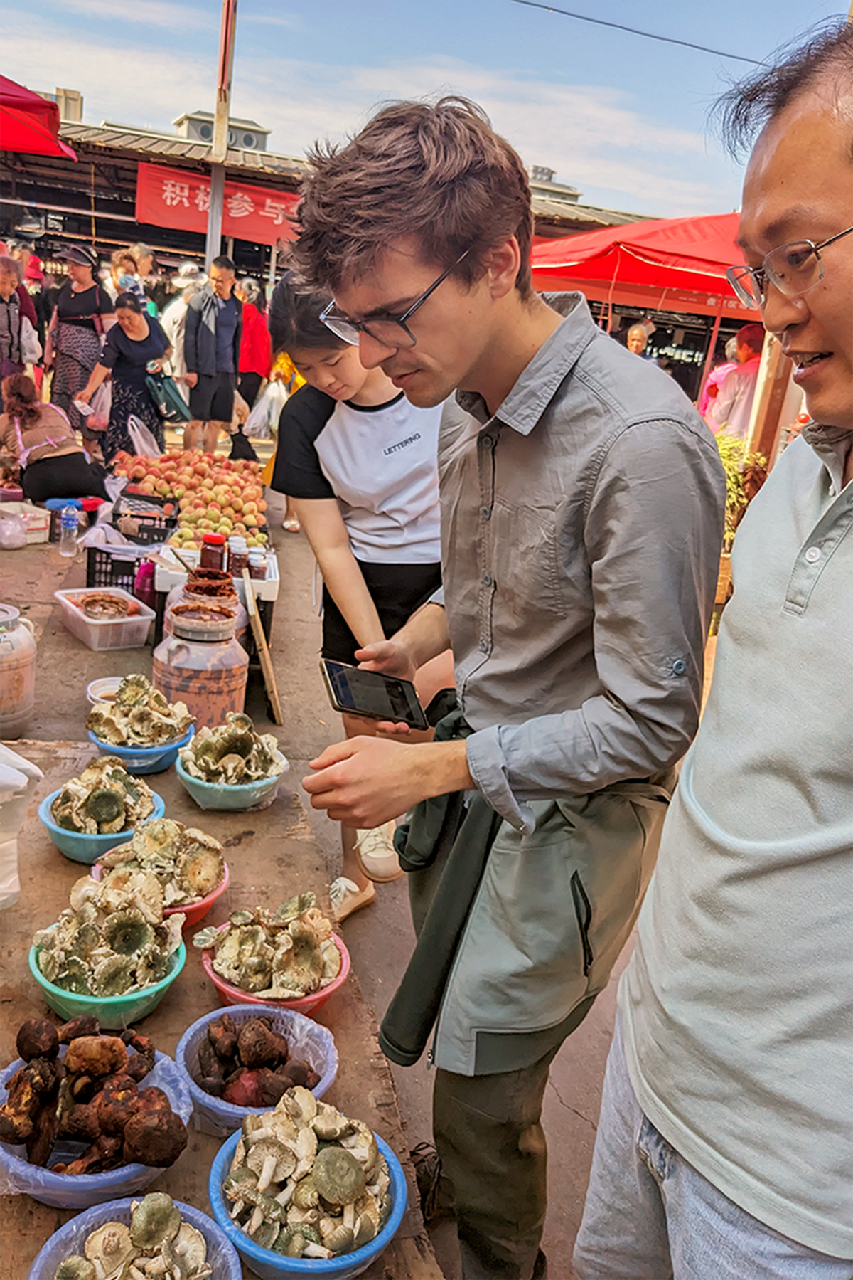 Los investigadores comprobaron los efectos de los hongos alucinógenos. Los investigadores comprobaron los efectos de los hongos alucinógenos.