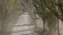 El viento Zonda ya recorre el sur de Mendoza y podría bajar el martes en el Gran Mendoza, según el pronóstico del tiempo.