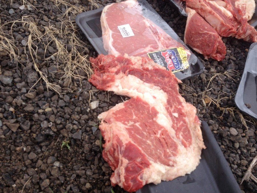 Un robo de filetes provocó una persecución policial