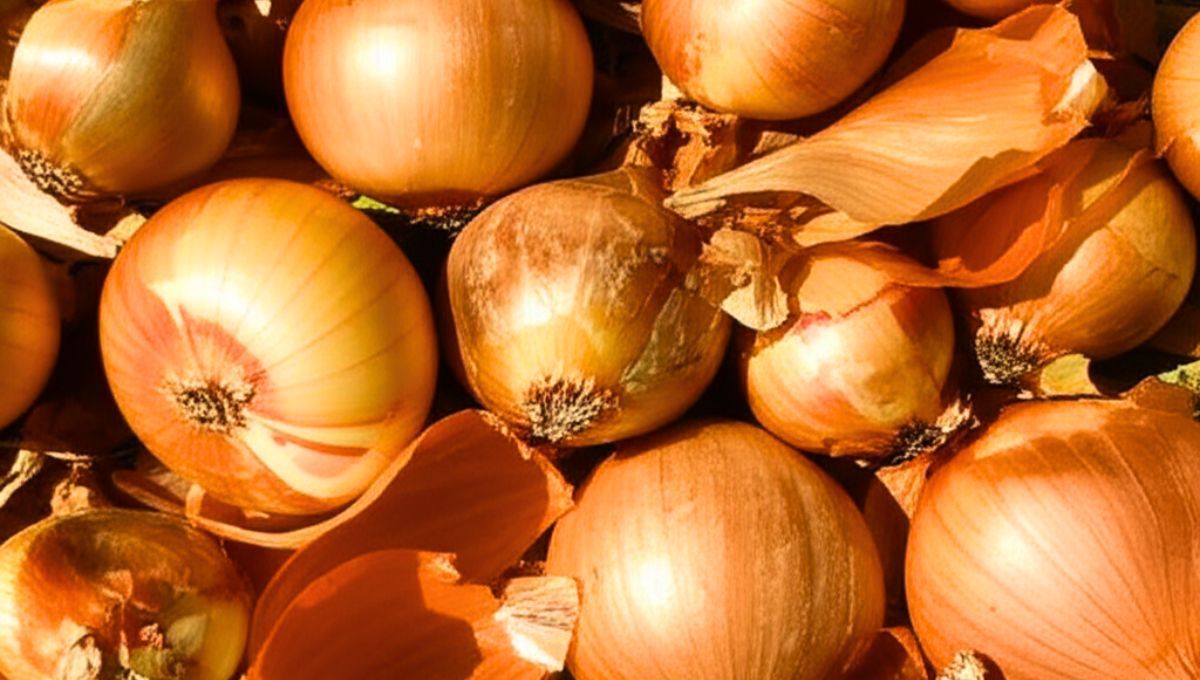 El truco ideal para saborizar todas tus comidas El truco ideal para saborizar todas tus comidas