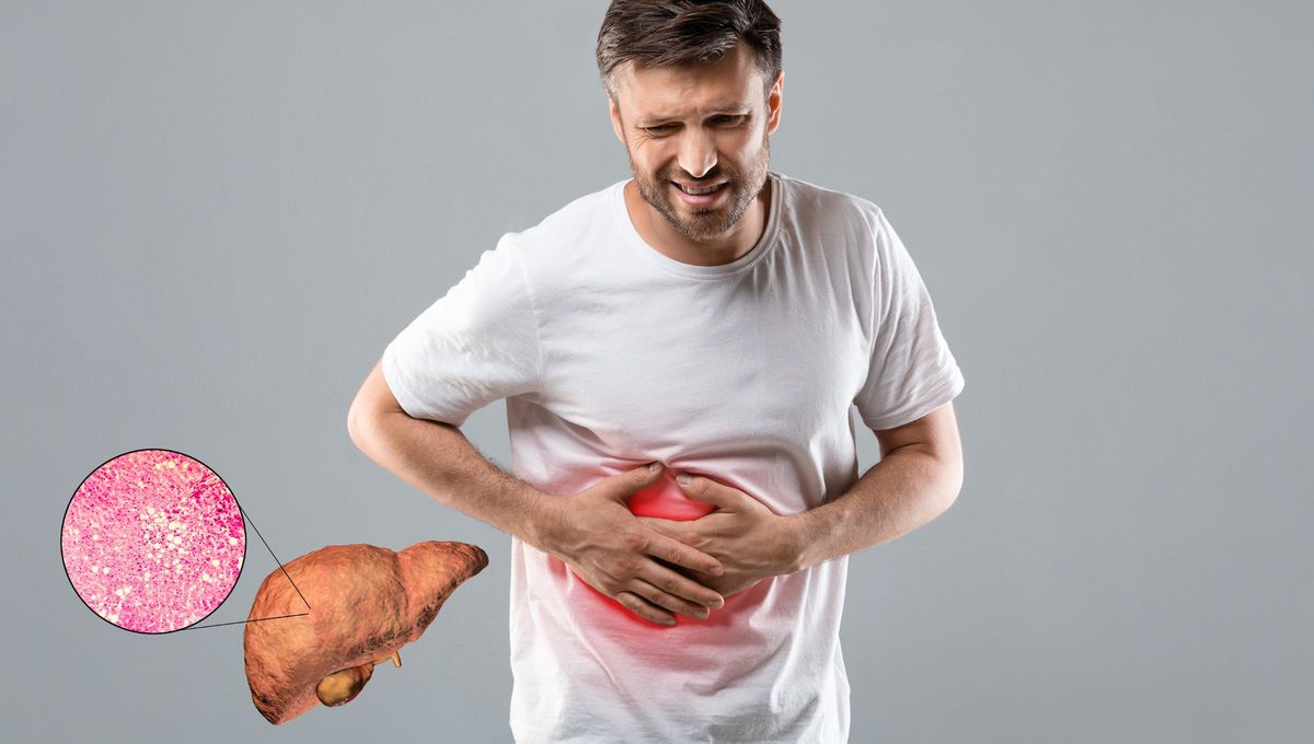 El hígado actúa como filtro para remover las toxinas de la sangre, lo ayuda a digerir la comida y también mantiene constante su nivel de azúcar en la sangre, entre otras tareas. El hígado actúa como filtro para remover las toxinas de la sangre, lo ayuda a digerir la comida y también mantiene constante su nivel de azúcar en la sangre, entre otras tareas.