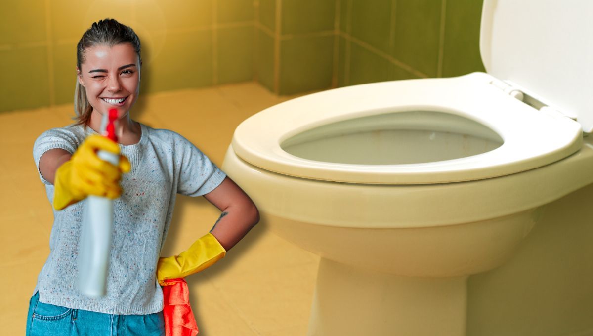 Cómo hacer unas pastillas caseras para remover el sarro del inodoro