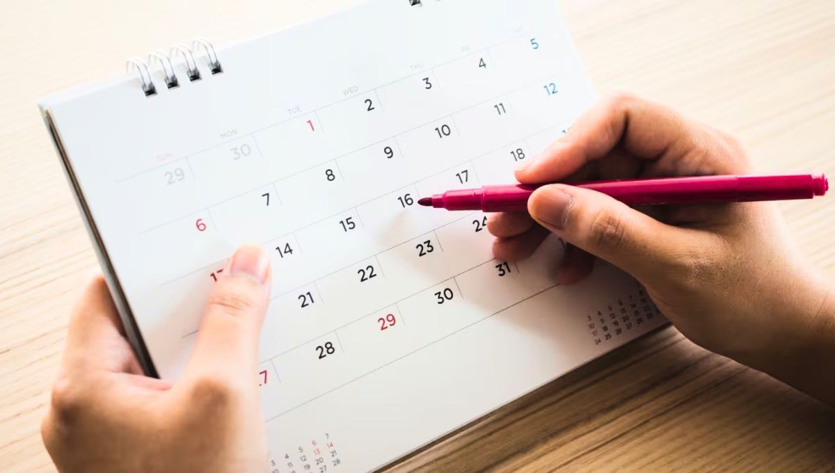 Esta decisión del gobierno de Javier Milei es atípica en cuestión de feriados. Esta decisión del gobierno de Javier Milei es atípica en cuestión de feriados.