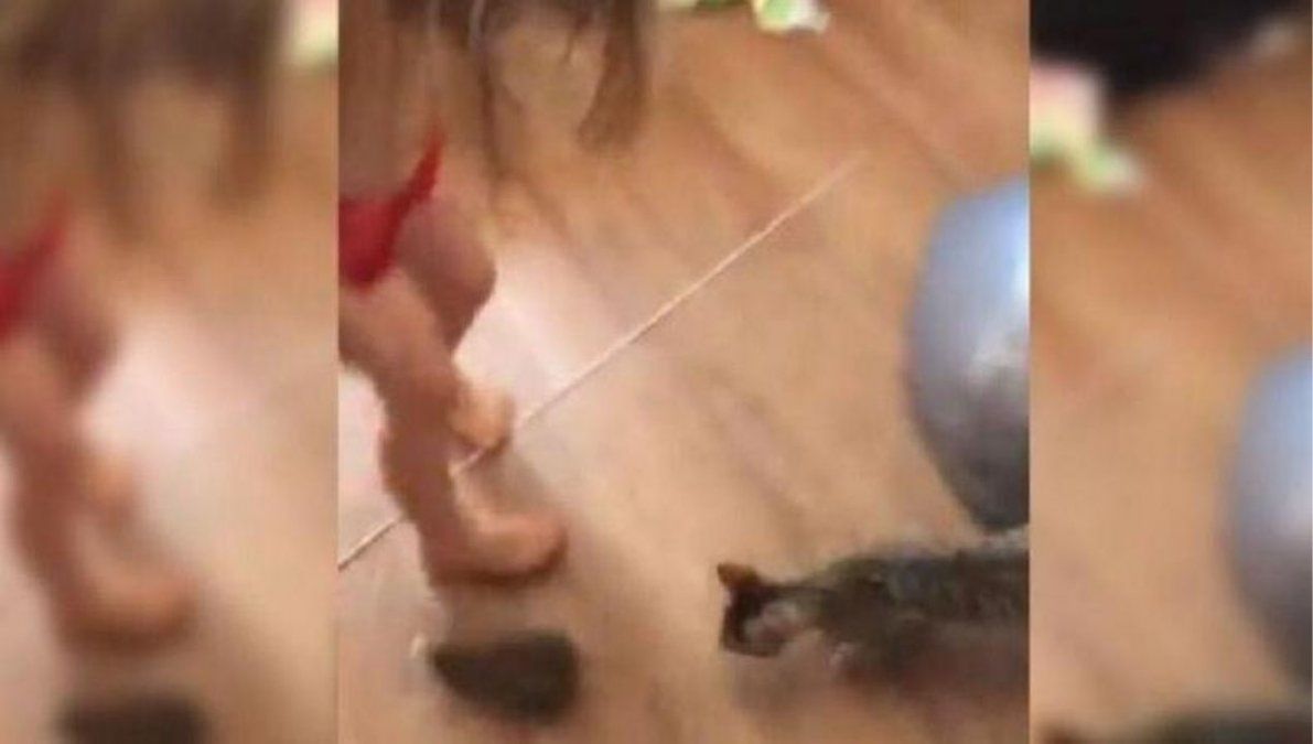 Video Una Nena Confundio A Un Conejito Bebe Con Otra Cosa