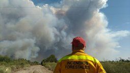Multarán a los productores que no cuenten con picadas cortafuegos