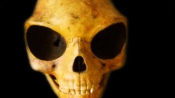 El misterio de la calavera danesa
