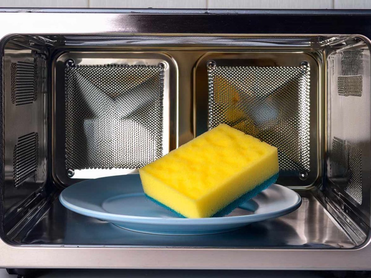 Truco casero con un electrodoméstico: elimina las bacterias de la esponja de lavar los platos Truco casero con un electrodoméstico: elimina las bacterias de la esponja de lavar los platos