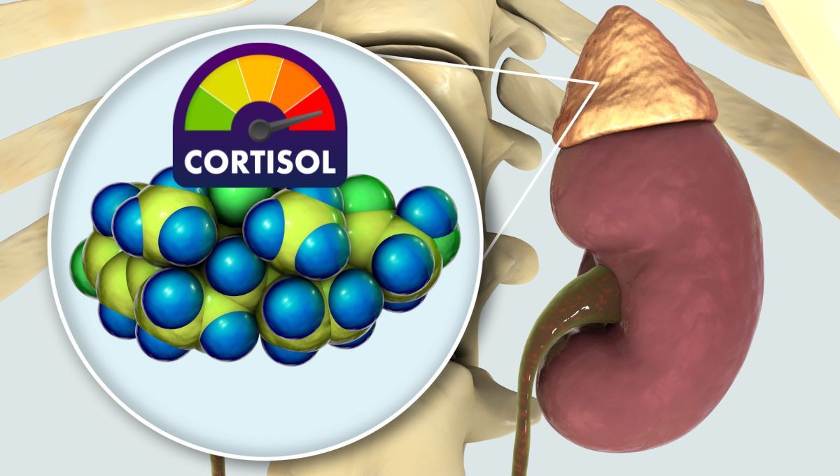 Fuente canva Fuente canva