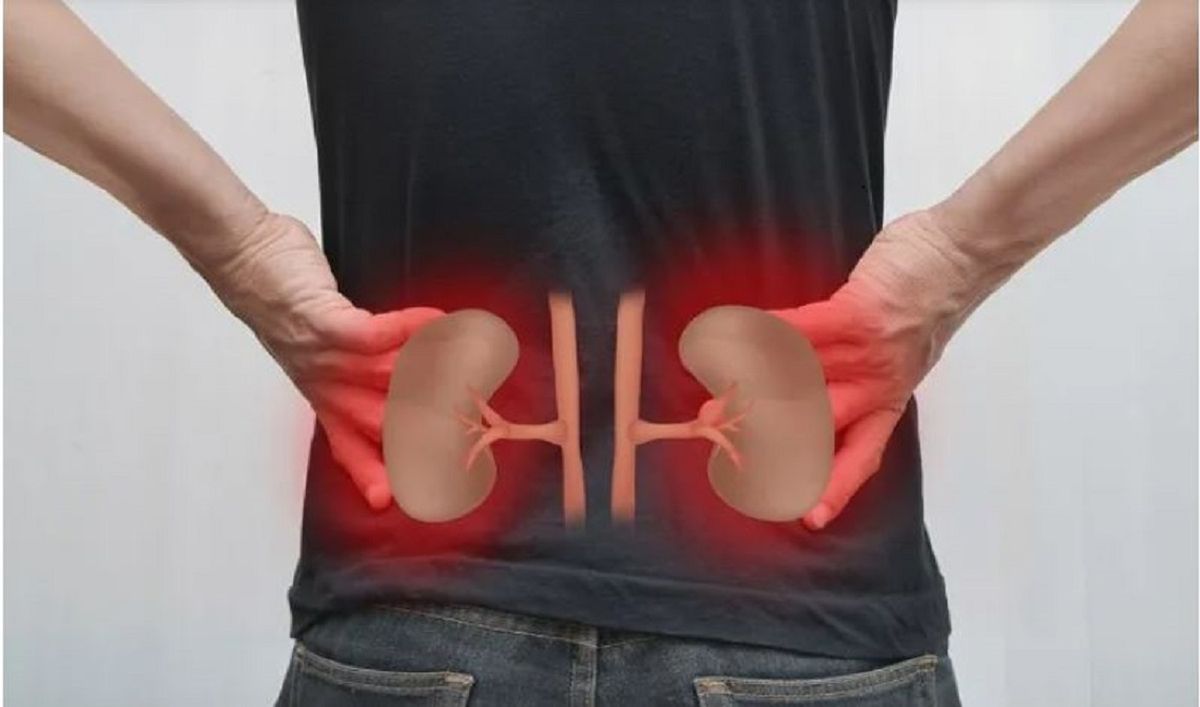 El cáncer de Riñon es el quinto tumor más frecuente en la Argentina.