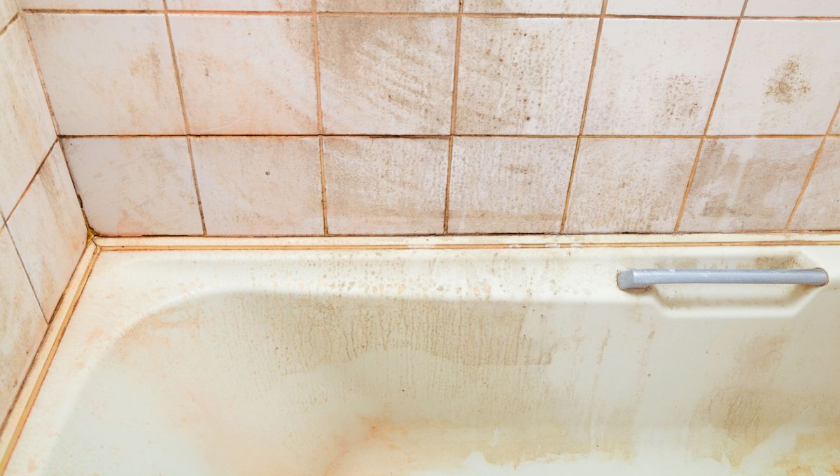 Consejos para limpiar y desinfectar la bañera. Consejos para limpiar y desinfectar la bañera. 