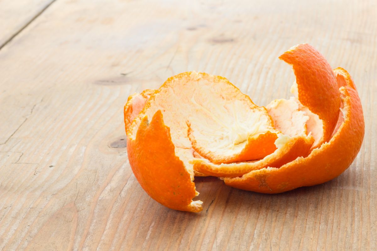 Cáscaras de naranja: cómo utilizarlas para eliminar las cucarachas de tu cocina Cáscaras de naranja: cómo utilizarlas para eliminar las cucarachas de tu cocina