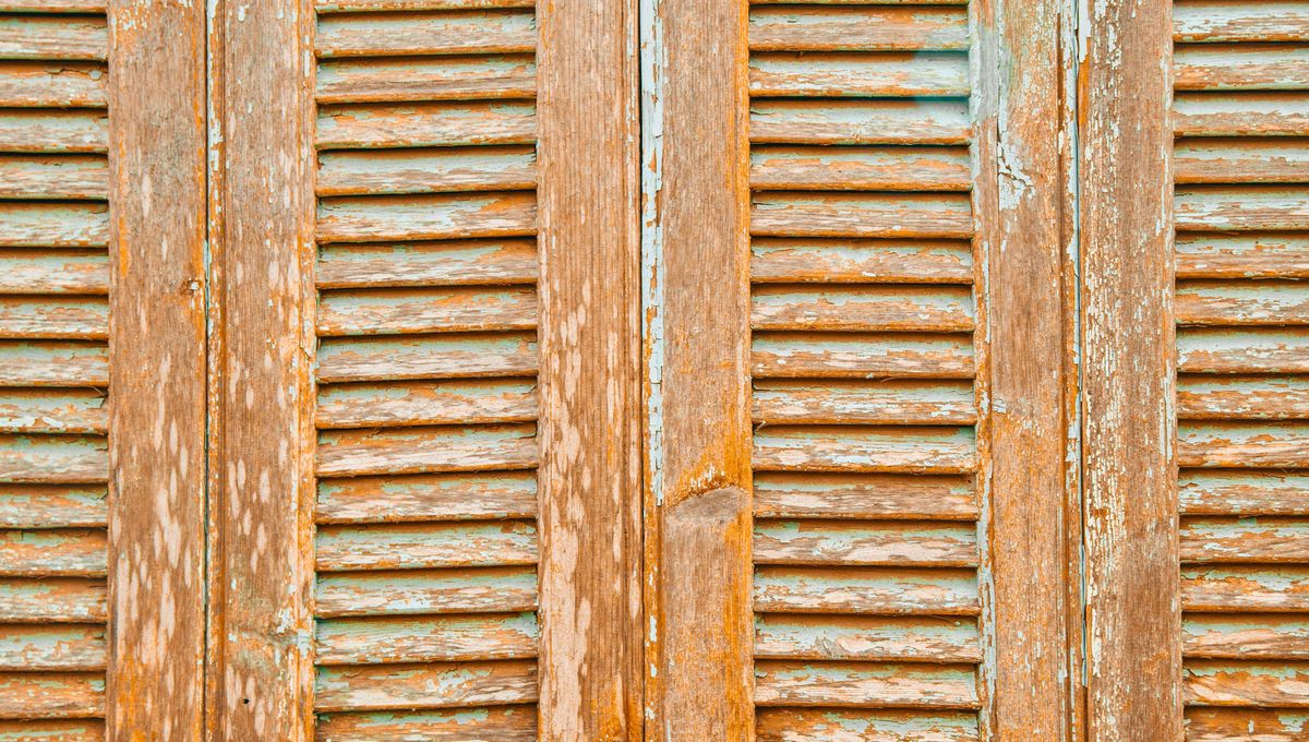 No uses mucha agua en las ventanas de madera ni productos que puedan desprender el barniz. No uses mucha agua en las ventanas de madera ni productos que puedan desprender el barniz. 