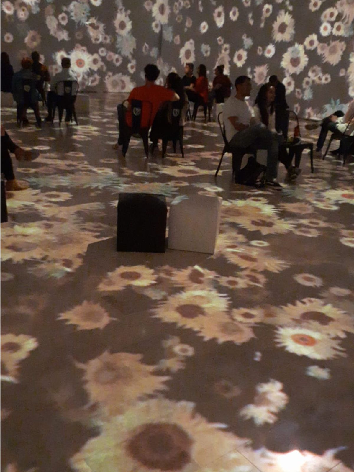 Inmejorable propuesta de la agenda cultural de Mendoza para este verano: la obra multimedia inmersiva Van Gogh Inmersive Art Experience