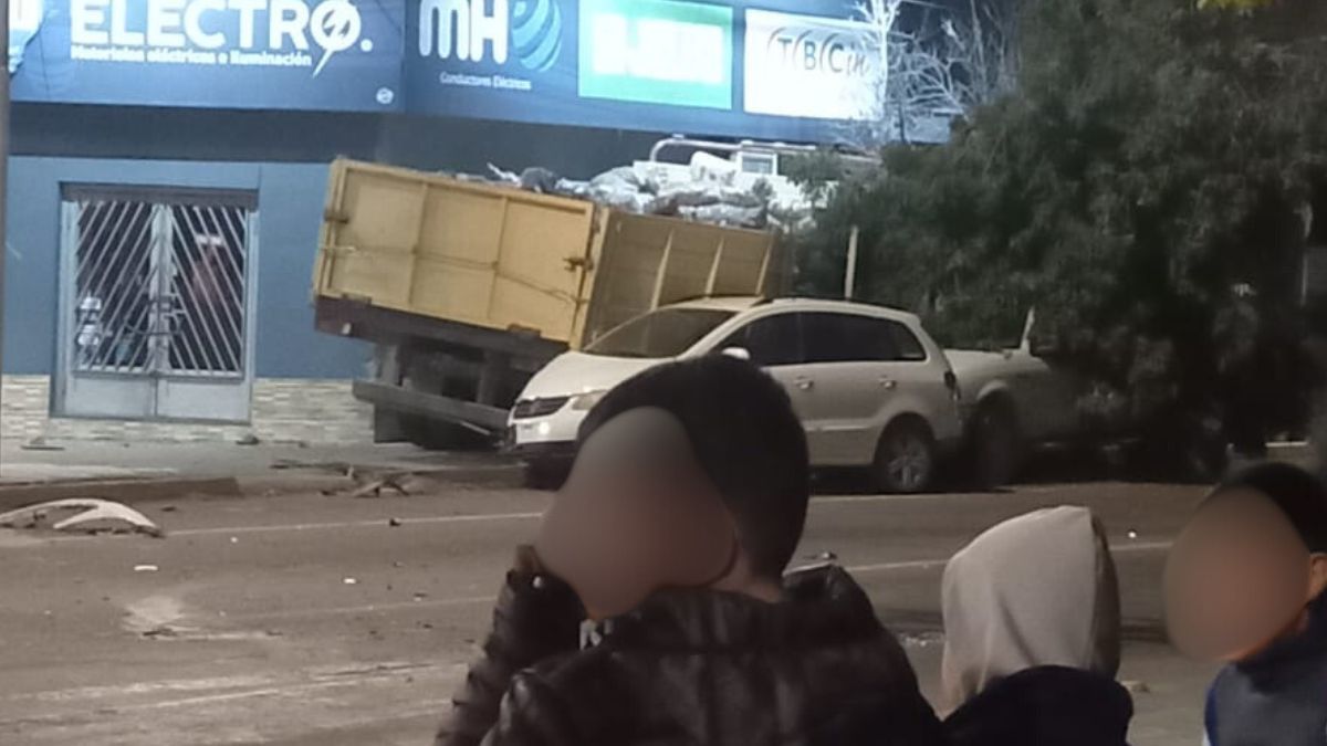 El camión cargado con 1.200 bolsas de papa quedó incrustado en un local comercial. Ocurrió en Tupungato.