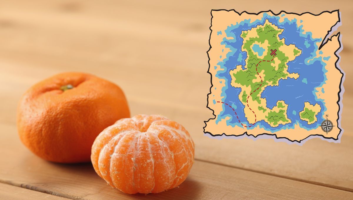 Aprendé a crear un mapa de fantasía para divertirte con los pequeños de la casa usando la cáscara de una mandarina