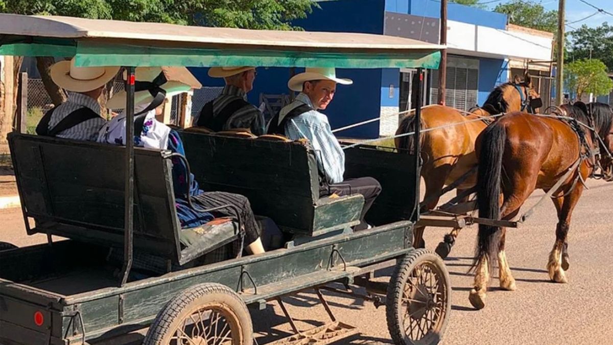 Los menonitas no utilizan vehículos con motor y para viajar a la ciudad se trasladan en remis Los menonitas no utilizan vehículos con motor y para viajar a la ciudad se trasladan en remis