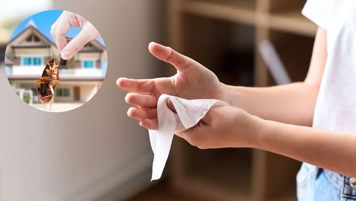 Puedes usar las toallas desinfectantes para eliminar las plagas del jardín.