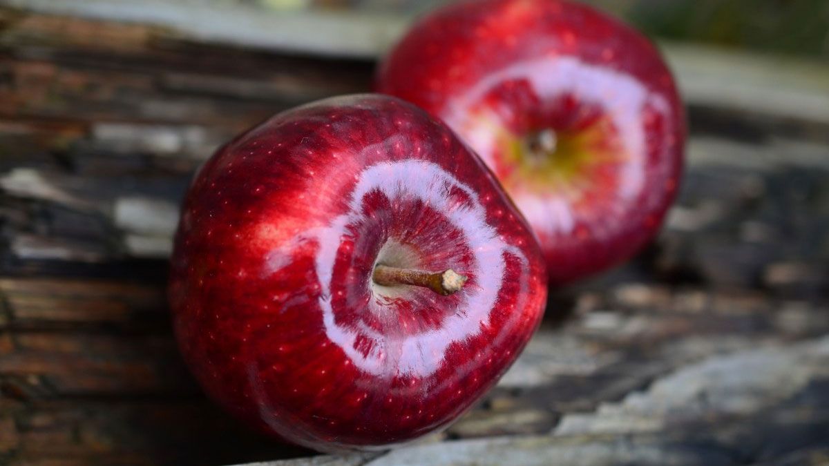 La manzana, además de aportar beneficios para la salud de las personas, es perfecta para cualquier dieta.