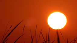 Según el pronóstico del tiempo se espera que la máxima llegue a los 33 °C.