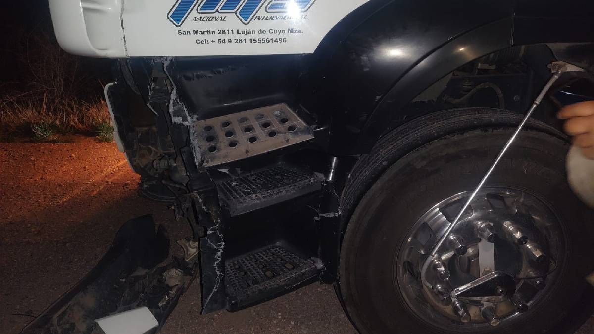Un camión mendocino chocó contra una vaca en la Ruta 7 esta madrugada de martes. Es el segundo accidente en una semana protagonizado por animales sueltos en las rutas de Mendoza.