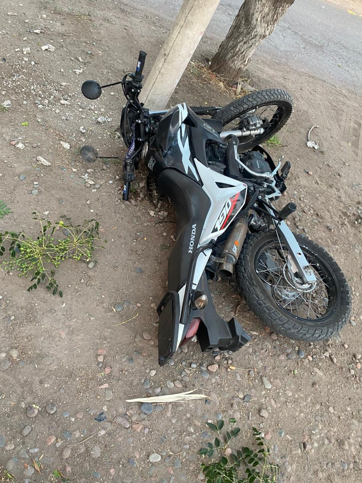 La moto que choc&oacute; contra un &aacute;rbol. Su conductor muri&oacute;.
