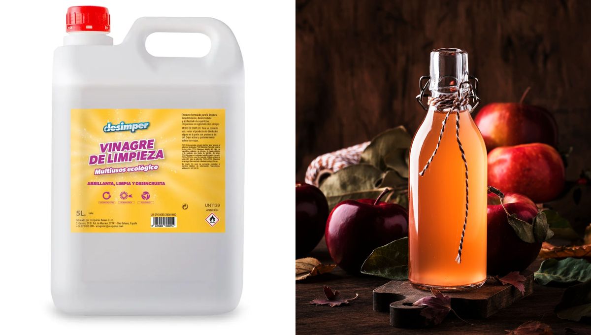 Con vinagre y otros ingredientes naturales se puede mantener el auto impecable y con rico olor.