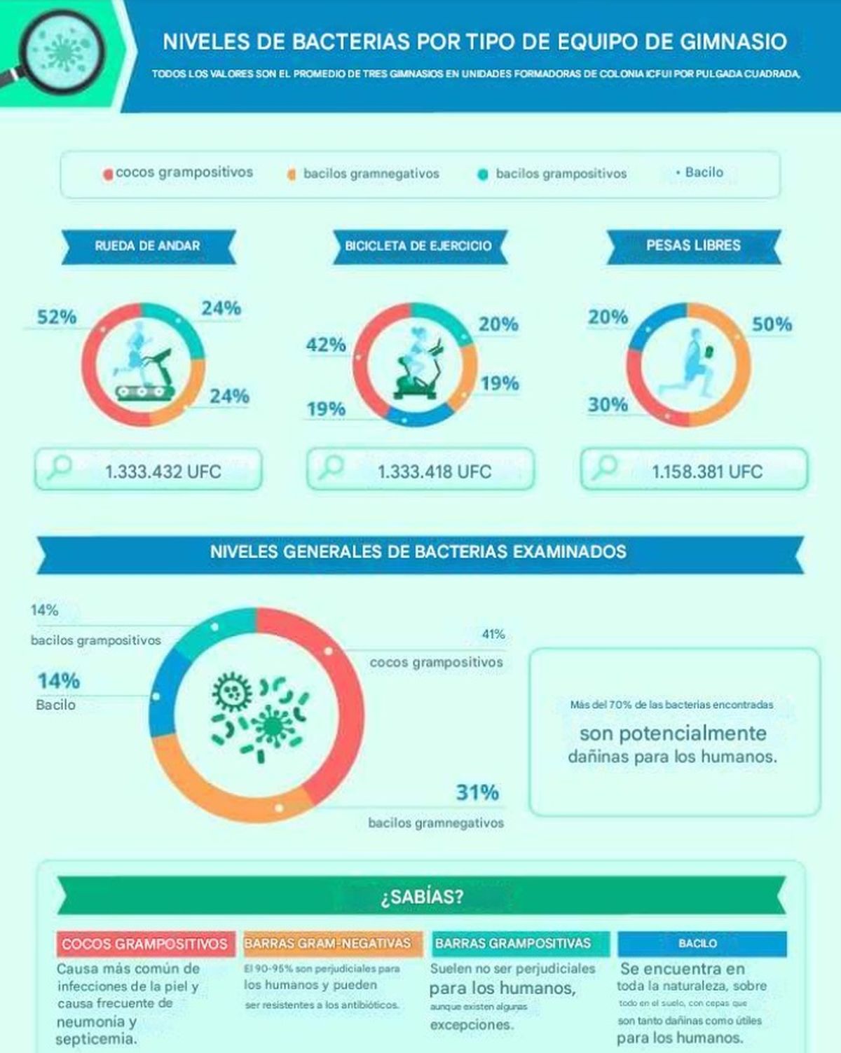El nivel de bacterias presente es sorprendente. El nivel de bacterias presente es sorprendente.