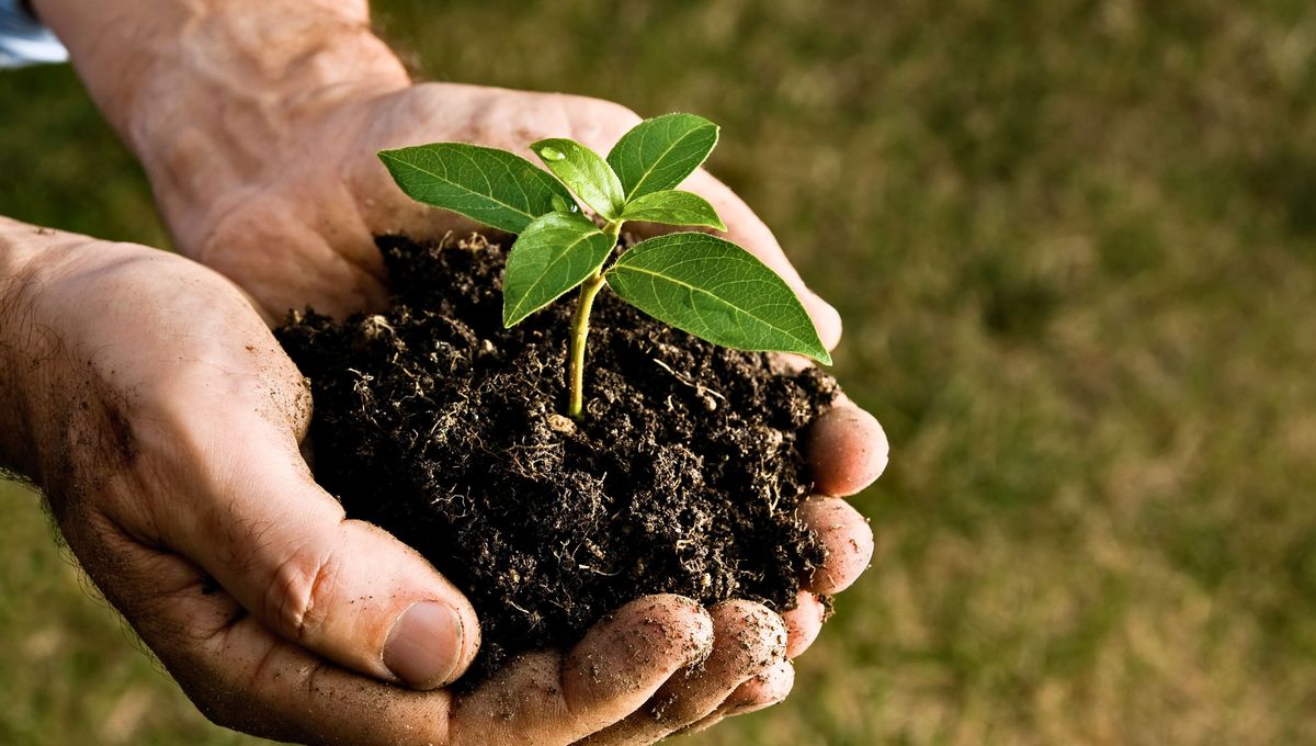 El italiano tiene muchas frases y palabras sencillas que se utilizan para describir sentimientos complejos e intensos. El italiano tiene muchas frases y palabras sencillas que se utilizan para describir sentimientos complejos e intensos. 