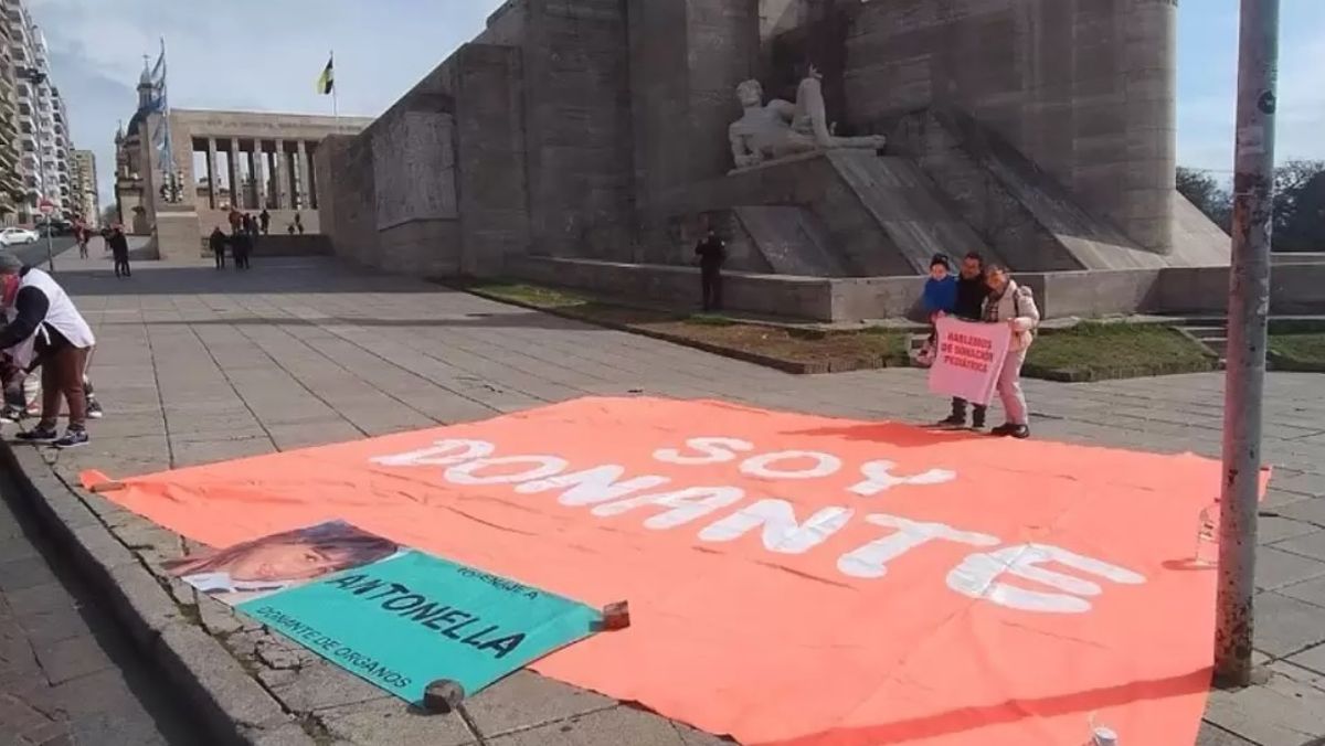 Cada 29 de agosto en Argentina se conmemora el Día Nacional de la Persona Donante de Órganos, en recuerdo de Antonella Trivisonno Cada 29 de agosto en Argentina se conmemora el Día Nacional de la Persona Donante de Órganos, en recuerdo de Antonella Trivisonno