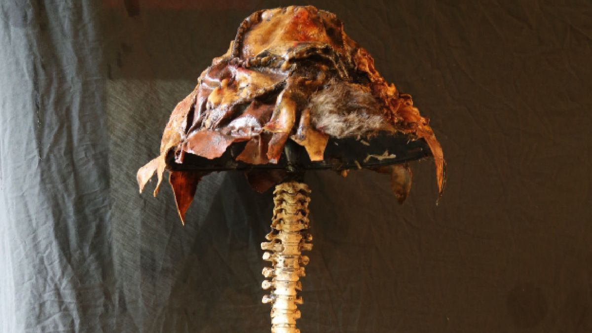 Los objetos recreados artísticamente sobre lo hallado en la casa del asesino serial. Los objetos recreados artísticamente sobre lo hallado en la casa del asesino serial.